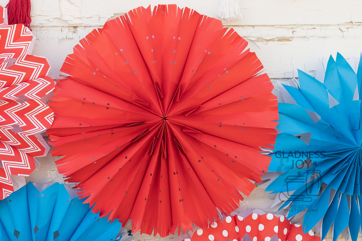 Patriotic Decorations (Plus BONUS Photos)