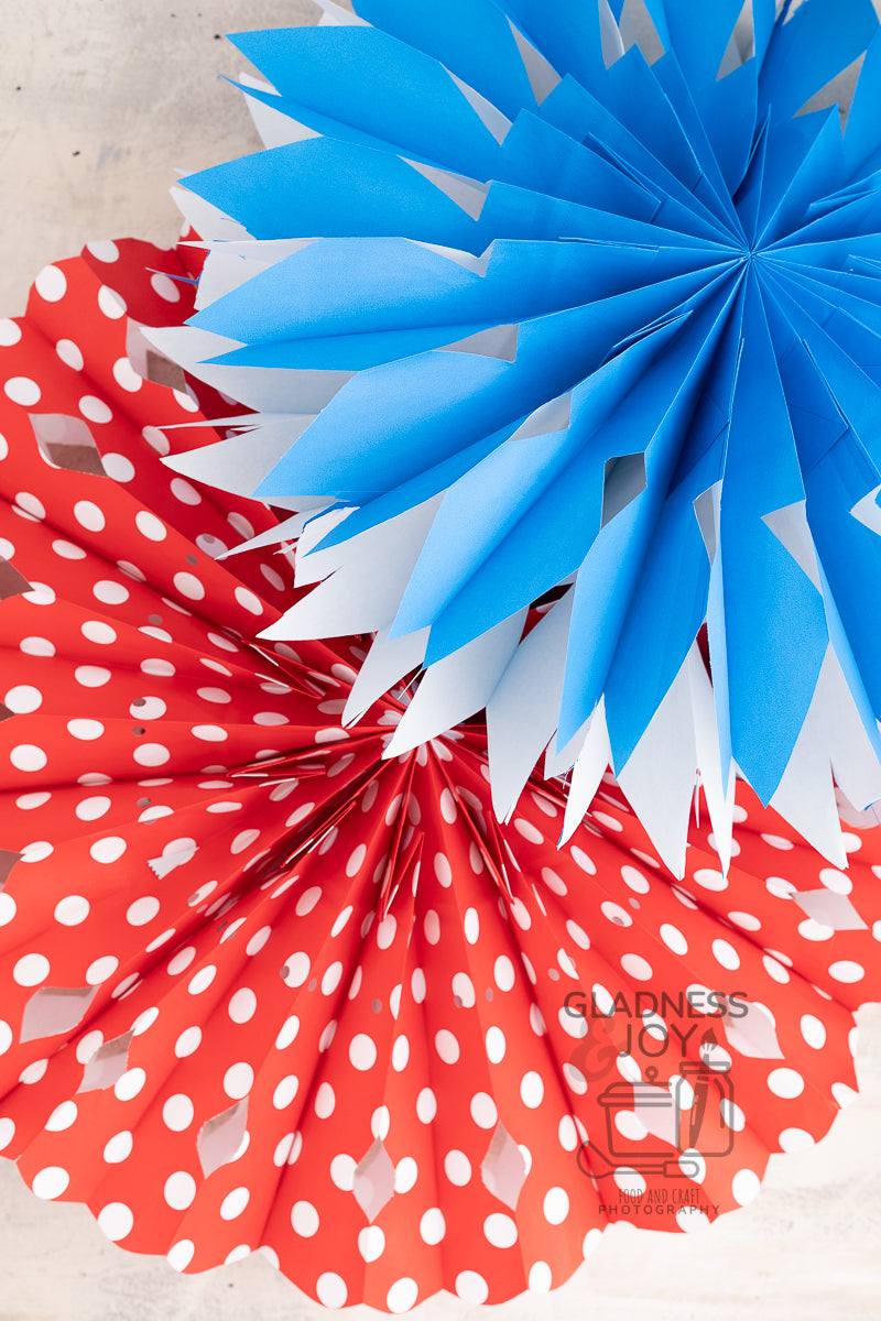 Patriotic Decorations (Plus BONUS Photos)