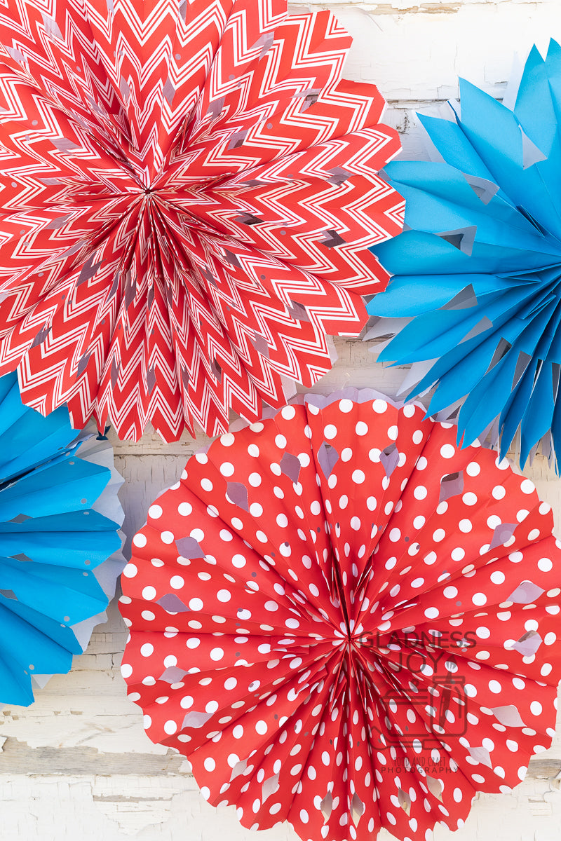 Patriotic Decorations (Plus BONUS Photos)