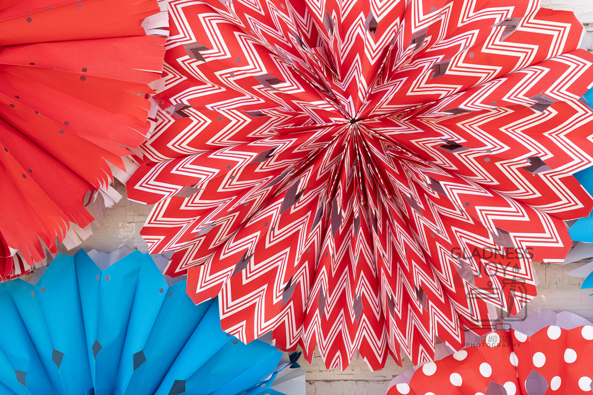 Patriotic Decorations (Plus BONUS Photos)