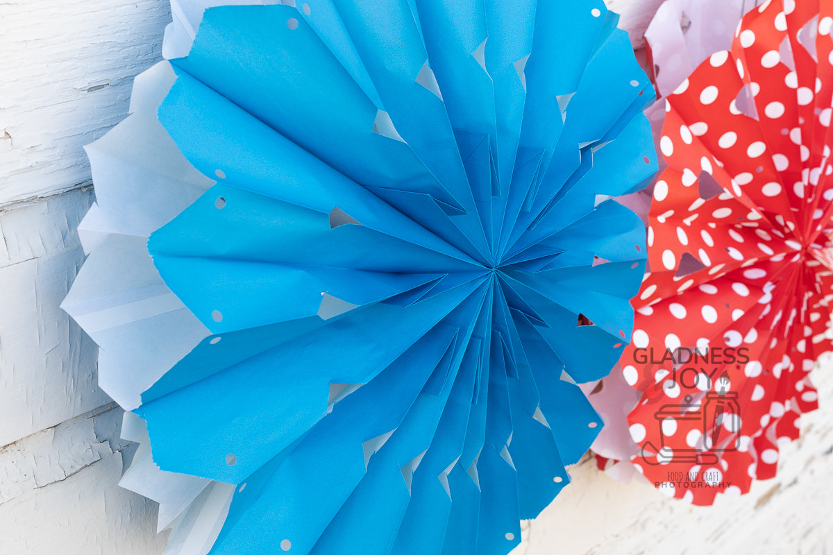 Patriotic Decorations (Plus BONUS Photos)